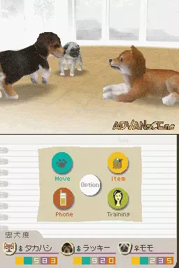 Image n° 3 - screenshots : Nintendogs - Miniature Dachshund & Friends